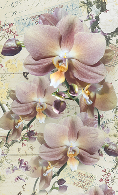 Подарунковий пакет "Орхідея бежева" 11х18х5 см pak-18 фото