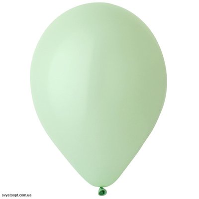 Воздушные шарики Everts 12" - 30см Macaron мятный 1102-1841 фото