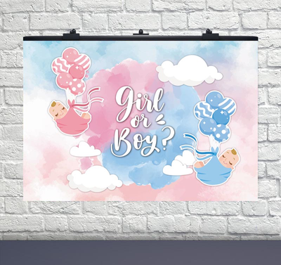 Плакат на гендерную вечеринку "Гендерная вечеринка шары Boy or Girl "(75х120 см) 6008-0282 фото