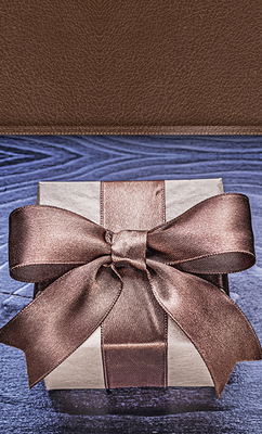 Подарочный пакет "Шоколадный бант на синем" 11х18х5 см pak-19 фото